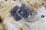 Large Malachite with Azurite Specimen ( lbs) - Morocco #74681-4